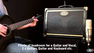 Peavey Ecoustic Acoustic Guitar Amplifiers [upl. by Hamlani]