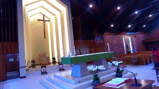 St Raymond Menlo Park Live Stream [upl. by Westerfield]