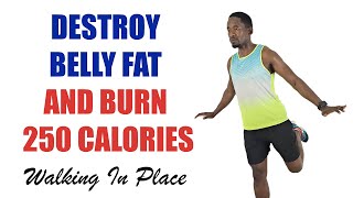 🔥Burn 250 Calories and Destroy Belly Fat🔥30 Min Walk at Home Workout🔥 3500 Steps [upl. by Eremihc]