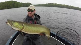 The Rainy Day HULK  critical tactics to keeping BIG muskies hooked in the 8 [upl. by Anna-Diana]