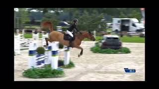 OMero van’t Streyhof CSI1 Kessel 9th place [upl. by Elkin]