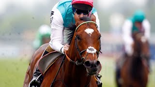 Frankel  2012 JLT Lockinge Stakes [upl. by Stav197]