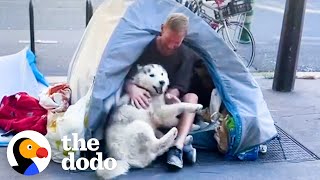 Husky Becomes Obsessed With Homeless Man And Helps Change His Life Forever  The Dodo [upl. by Esom628]