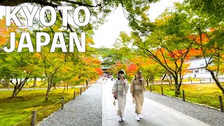 【4K】Autumn Kyoto Nanzenji Temple Walking Tour  JAPAN 2022 [upl. by Deron208]