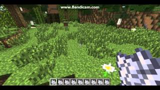 How to get lots of Oxeye Dasies and Azure Bluets in Minecraft [upl. by Lorrin342]