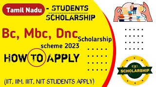 BC MBC DNC Scholarship  Tamil Nadu govt scholarship For UG PG students scholarship  How to apply [upl. by Annahvas699]