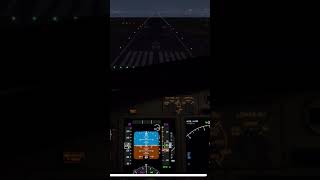 XPlane mobile B737800 NIGHT LANDING [upl. by Hopkins]