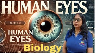 Human Physiology Humans Eyes II 11Th Biology II NEET II NCERT II CUET II Zoology [upl. by Lelith]