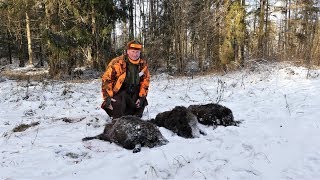 Schnelle Sauen im Schnee  Drückjagd in Masuren Teil 2 [upl. by Llerdnad230]