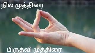 நில முத்திரை  பிருத்வி முத்திரை  பலன்கள் [upl. by Lucier946]