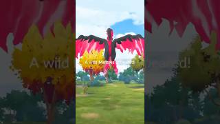 Galarian Moltres Encounter in Pokemon Go But Did It Catch pokemon shorts [upl. by Cohn733]