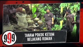 TANAM POKOK KETUM BELAKANG RUMAH  999 4 December 2018 [upl. by Geoff]