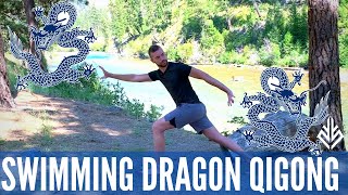 Swimming Dragon Qigong for Strength Flexibility amp Healthy Spine  TCM Preventative Physical Therapy [upl. by Ansilma]