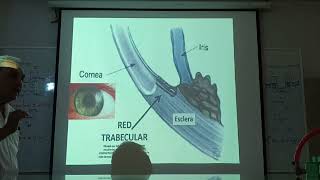 HISTOLOGÍA DEL OJO PSEGUNDA UNIDAD [upl. by Araid]