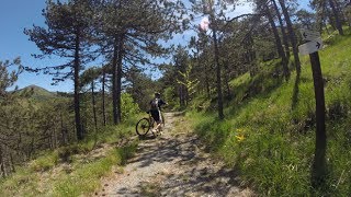 MTB al Monte Pracaban e Laghi del Gorzente itinerario nel Parco Capanne di Marcarolo [upl. by Nomolos]