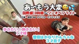 何回やっても慣れない、子ども2人1歳amp3歳とワンオペフライト✈️ 日本🇯🇵成田→アメリカ🇺🇸サンディエゴ [upl. by Leanard]