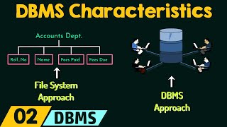 DBMS Characteristics [upl. by Rekcut631]