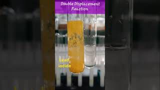 Double Displacement Reaction  Precipitation ReactionClass10 Chemistry Experiment [upl. by Atiuqcaj]