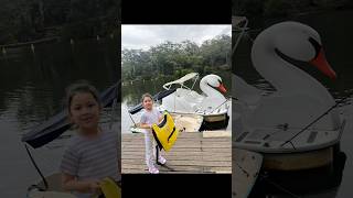 Parramatta row boats sydney 🛥️ schoolholiday sydney family [upl. by Laspisa]