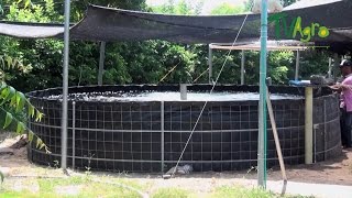 Implementación del sistema Biofloc en Acuicultura  TvAgro por Juan Gonzalo Angel [upl. by Nad971]