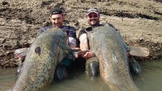 Catfishing Two Monsters Fish Record Over 220 pounds by Catfish World [upl. by Dric525]