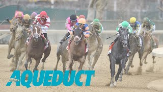 Aqueduct Simulcasting  February 3 2024 [upl. by Kahcztiy]