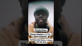 Shumba Mzaya Tambazumba Nashe A dance with the King cover By Thomas Mapfumo [upl. by Assel]