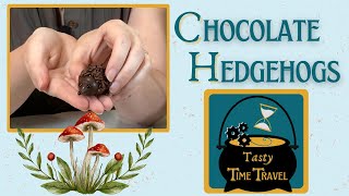 Modern Delights Chocolate Hedgehogs [upl. by Jeraldine]