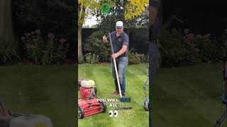 How to Effectively Remove Thatch from Your Lawn [upl. by Atiuqaj522]