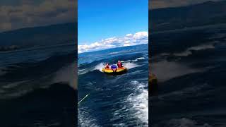 Shuswap Lake Fun 🤩 shuswap shorts watersports [upl. by Nealson]