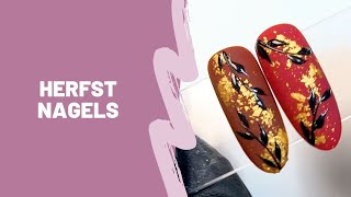 Herfst Nagels [upl. by Beverly930]