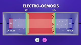 Electrosmosis Animation Video Play Chemistry [upl. by Ecirpac622]