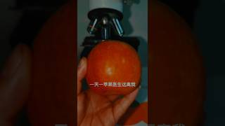 Apall test in microscopeshortsfeed shortsvideo shorts ytshort chinesfood123 [upl. by Inava]