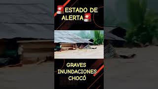 🌧️🌊 ¡Inundaciones en Colombia no ceden 🚨 Municipios como Bojayá Alto Baudó y Litoral en alerta 💥😱 [upl. by Alemahs]