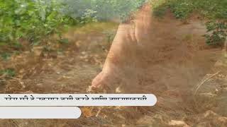 Geolifes Stress FreeEfficiency enhancer for Quick Resultsof Selective Herbicides Marathi [upl. by Noirda]