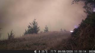 Molalla River Corridor Game Camera Fire [upl. by Natsirk]