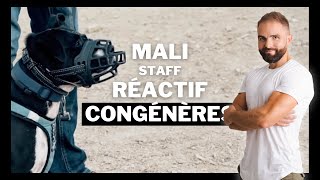 Staff réactive congénère  Chien incompris EP 1 [upl. by Alf]