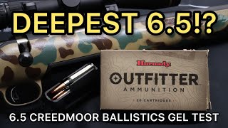 65 Creedmoor 120gr CX Hornady Outfitter Ballistics Gel Ammo Test [upl. by Nosnehpets]