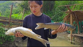 Grief  fish pond  digging up medicinal plants to sell  17 year old single mother [upl. by Lunneta]