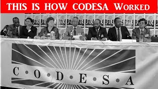 Is it only ANC that failed at CODESA did African parties sell out or fail to represent Africans [upl. by Rehttam766]