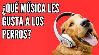 ¿Cómo la música afecta a los perros [upl. by Tnecnev121]