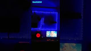 Best Gaming Setup Background Light MeRGBW Neon Rope Lights [upl. by Wittenburg]