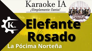 La Pócima Norteña  Elefante Rosado  Karaoke [upl. by Kellyann27]