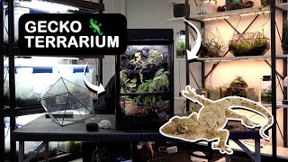 Replanting the mourning gecko terrarium fixing leaky vivarium [upl. by Bobbye905]