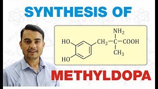 SYNTHESIS OF METHYLDOPA  MEDICINAL CHEMISTRY  GPAT BPharm 5th SEMESTER [upl. by Bart]