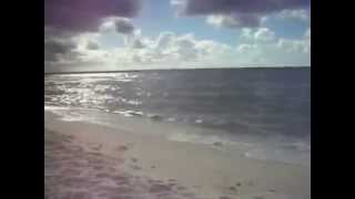 Navarre Beach Florida 2014Tangerine Dream The Soldier [upl. by Ebag]