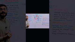 Laryngopharynx Division of Pharynx Structure and Functions anatomy viralvideo neet biology [upl. by Einnig]