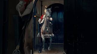 SPOOKED HORSE IS TAKEN BACK IN 🐎😱 Horse Guards Royal guard Kings Guard Horse London 2024 [upl. by Auhel]