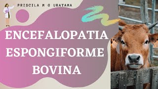 Encefalopatia Espongiforme Bovina EEB  Doença da quotVaca Loucaquot [upl. by Valencia434]