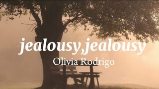 Olivia Rodrigo–Jealousyjealousylyrics [upl. by Ettennat305]